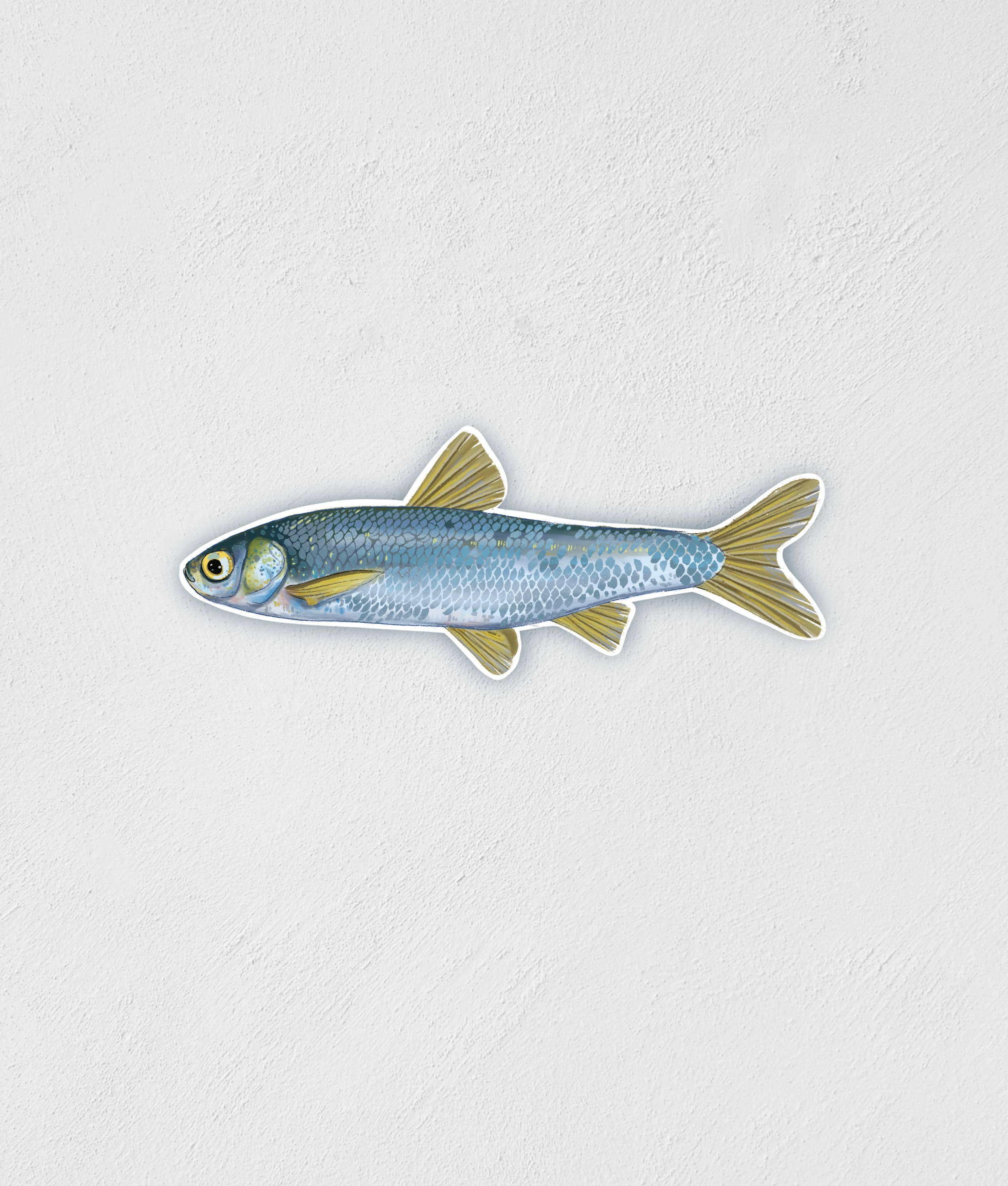 Little Rocks Design - Wholesale Sticker - Colorful Mini Minnow Sticker | Waterproof | Hand-Drawn Decal