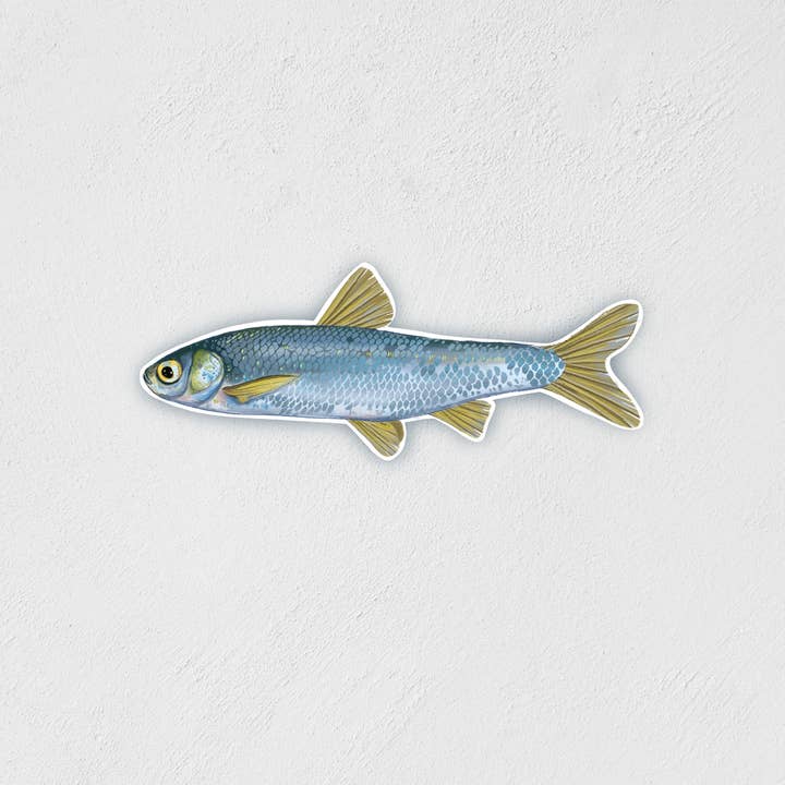 Little Rocks Design - Wholesale Sticker - Colorful Mini Minnow Sticker | Waterproof | Hand-Drawn Decal0