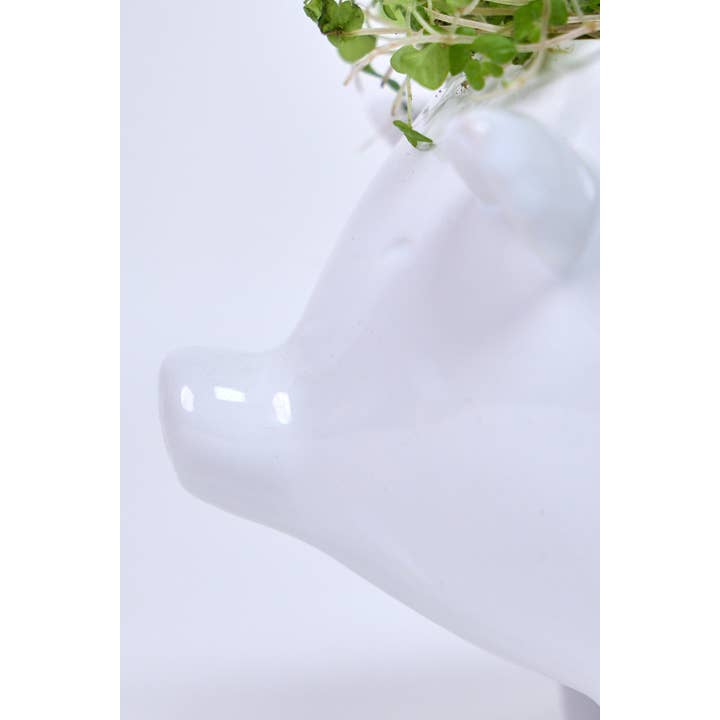 Chive Canada - Wholesale Plant Pot - Pig Ceramic Indoor Plant Pot For Succulents2