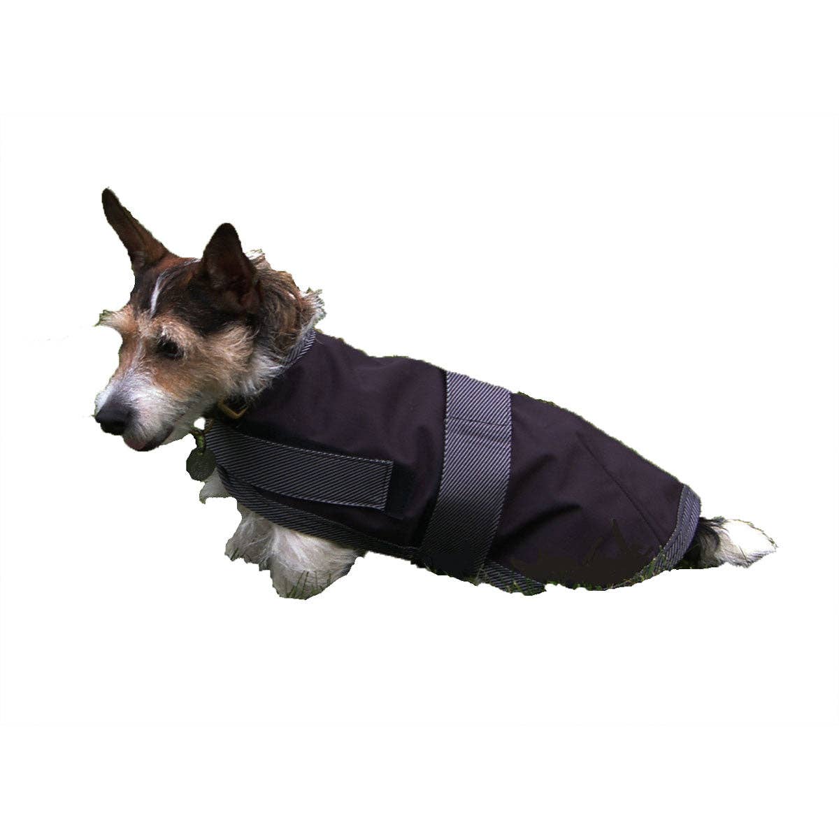 Beige Burgundy High Spirit Waterproof Insulated Dog Coat for wholesale on Faire1