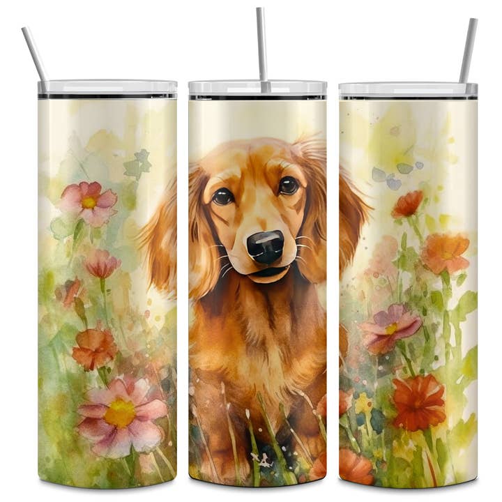 Bassotto a pelo lungo | Tumbler per la vendita all'ingrosso da parte di Designs by Robyn