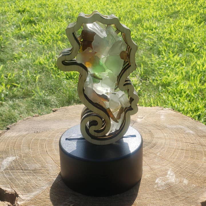 Sea Glass Displays – Engroshandel Pyntekasse – Seahorse Sea Glass Shadowbox Display 4 stilarter Flerfarvet6