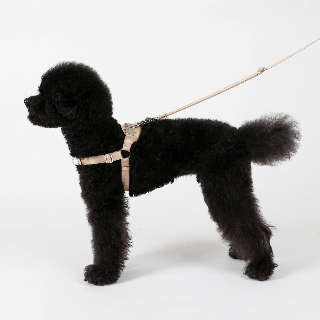 Hozi - Wholesale Pet Harness - Dog - Horsebit Harness : Black4