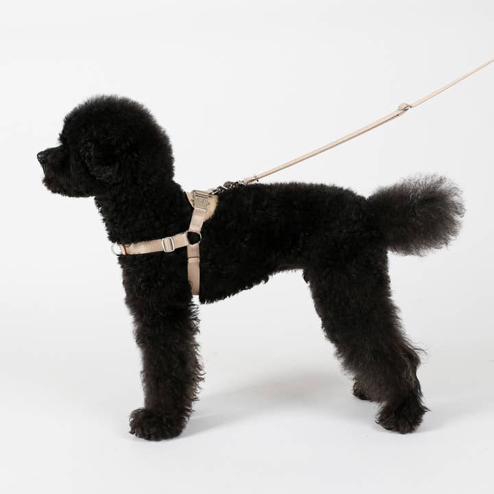 Hozi - Wholesale Pet Harness - Dog - Horsebit Harness : Black4