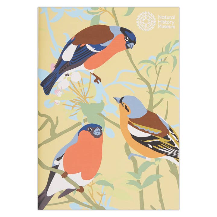 West Design Products UK - Wholesale Sketchbook/Sketchpad - Natural History Museum A5 Sketchbooks, 3 Pack British Birds