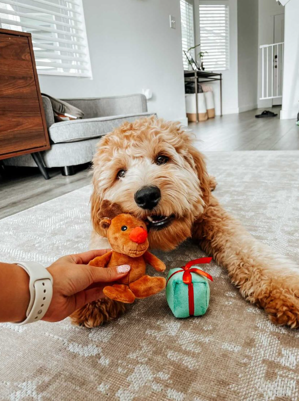 Midlee Designs – wholesale Pet plush toy – Dog – Midlee Santa Sleigh Find a Toy Christmas Dog Toy2