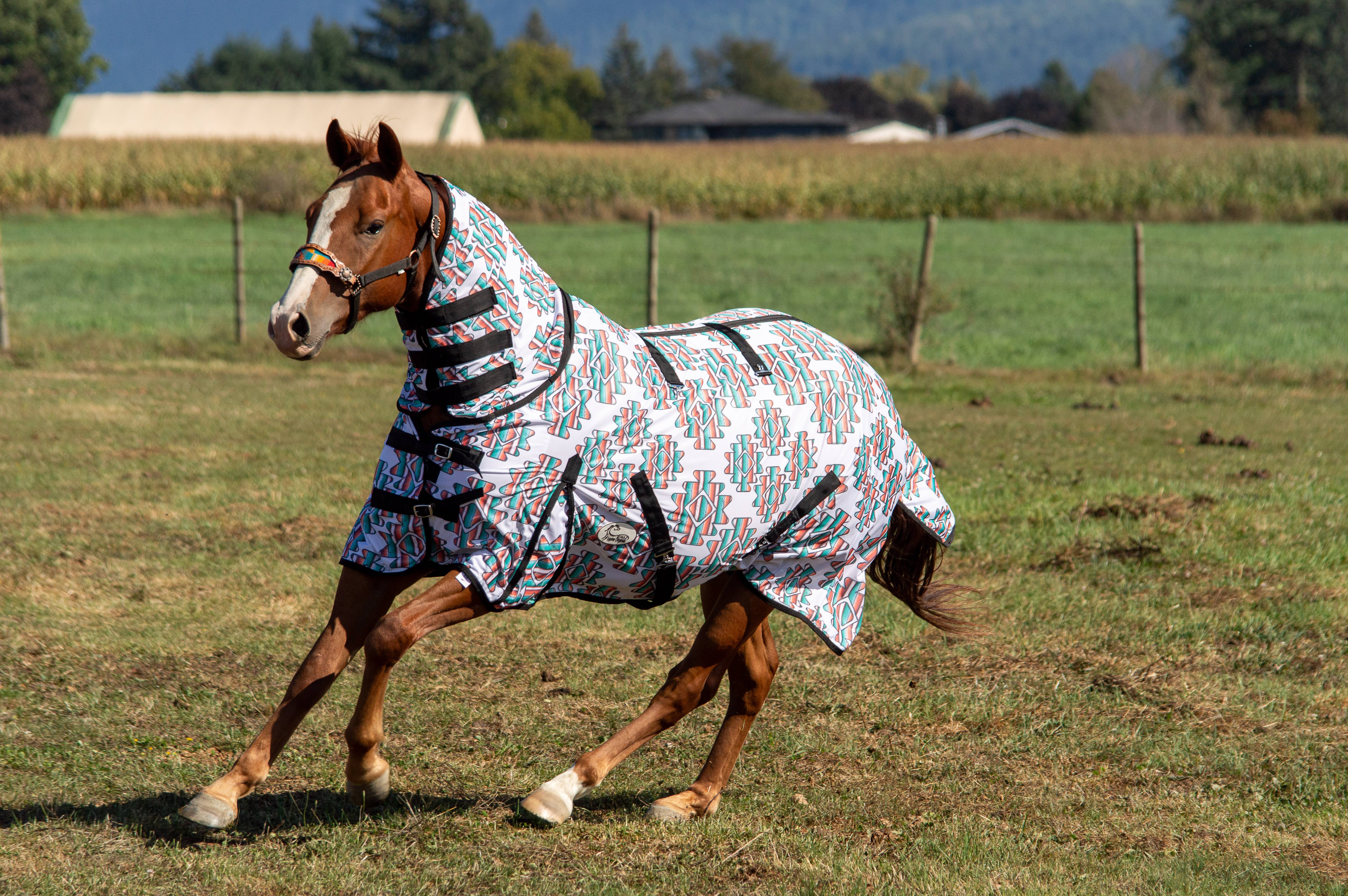 Schulz Equine - Wholesale Horseback Riding Gear - Serape Aztec Fly Sheet