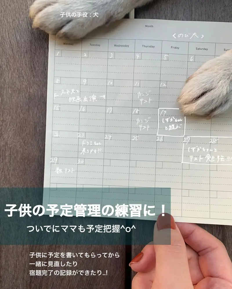 SIKIGU - Wholesale Notebook - PAD NOTE / PROJECT PLAN_Free schedule notebook, Gantt chart7