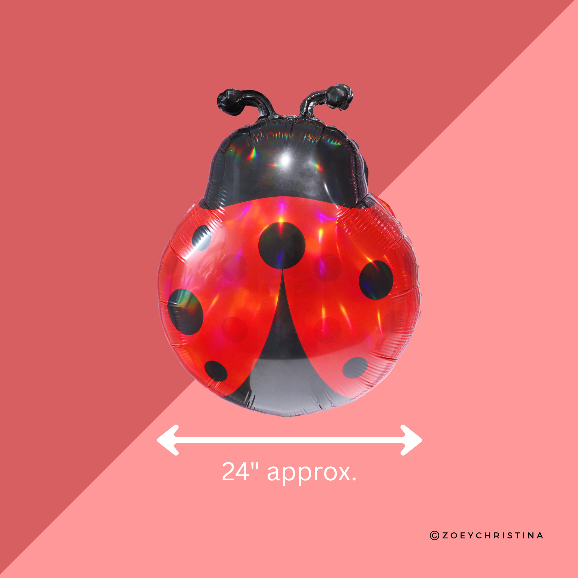 Zoey Christina - Wholesale Balloon - Ladybug Foil Balloon – Garden, Bug & Spring-Themed Party 3