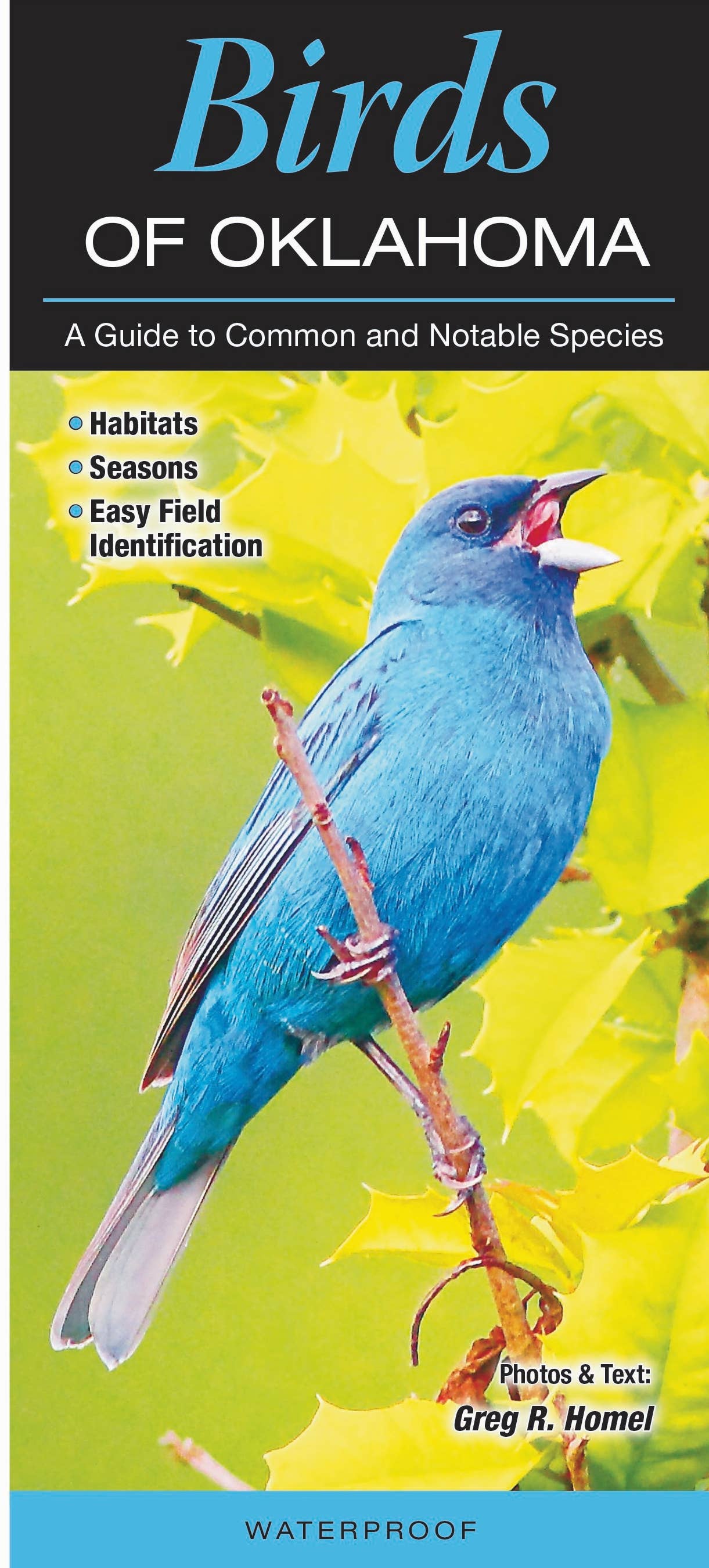 Quick Reference Publishing, Inc - Wholesale Nature & Outdoors - Birds of Oklahoma0