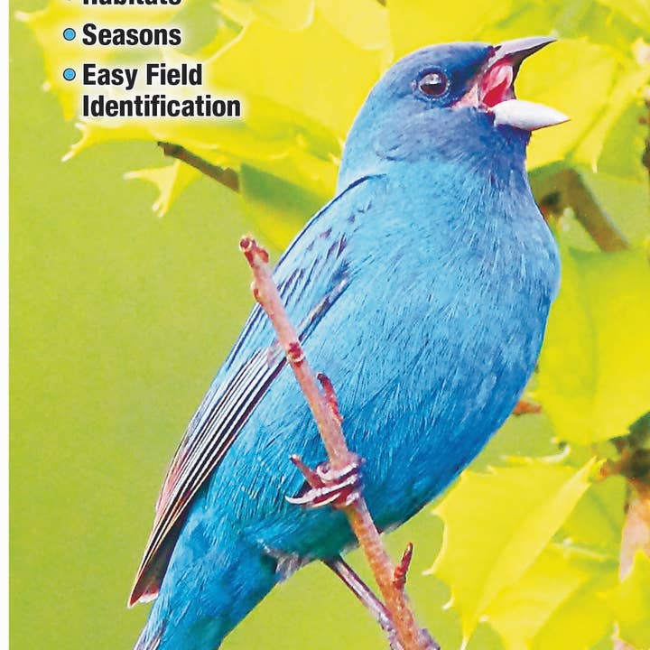Quick Reference Publishing, Inc - Wholesale Nature & Outdoors - Birds of Oklahoma