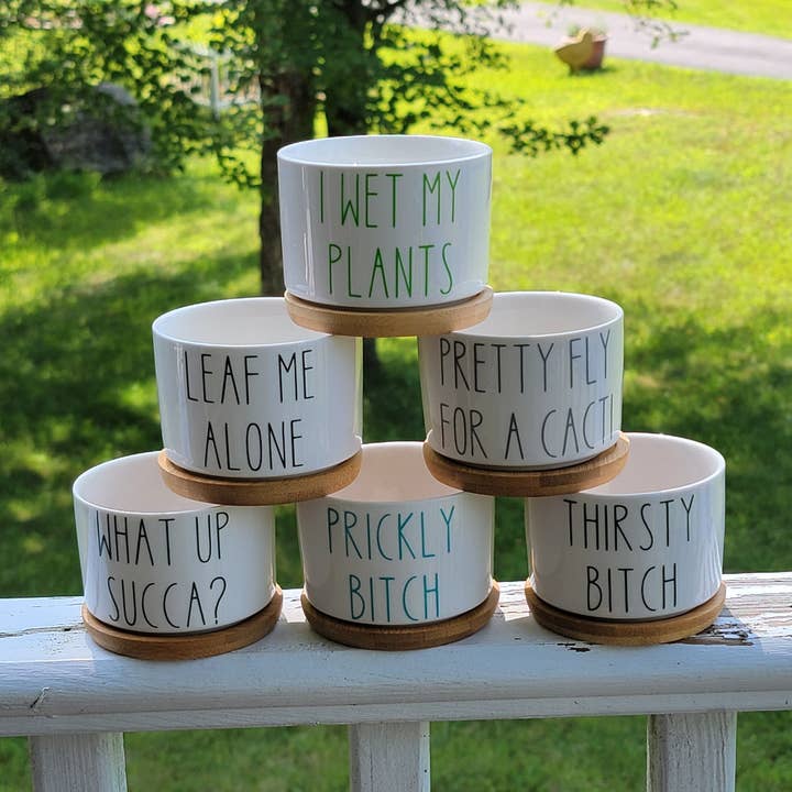 Vulpine Vinyls – Engroshandel Plantekrukke – Funny Saftige Potter - Hvid Keramisk Plant Pot0