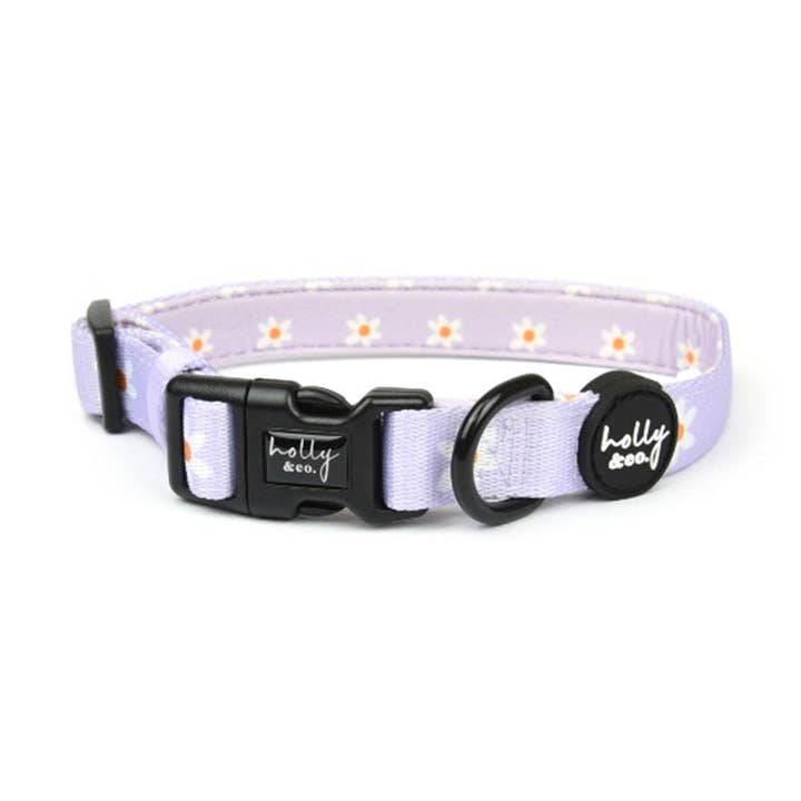 Dog Collar // Daisies of our Lives for wholesale by Holly and Co Australia Pty Ltd