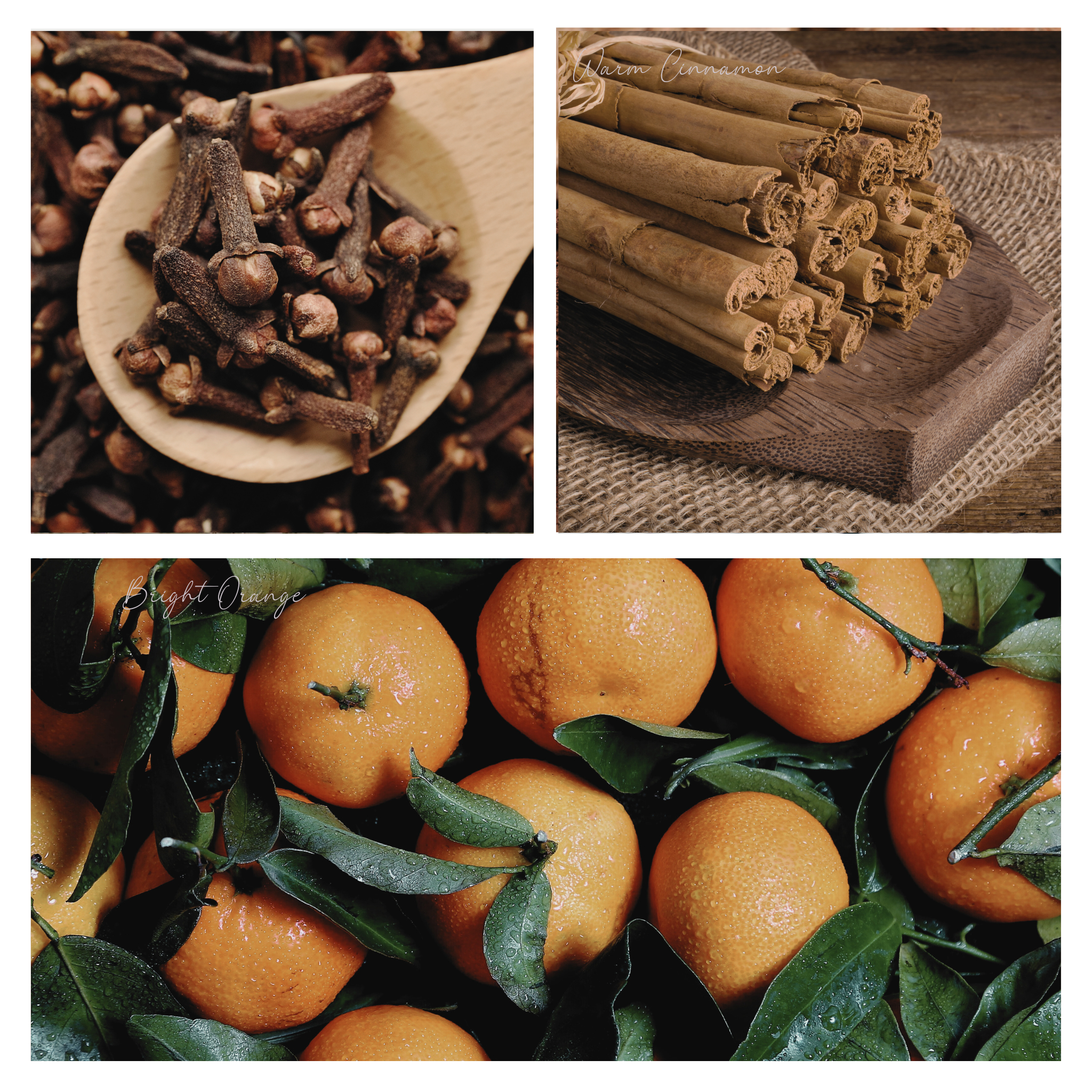 Simmer and Co Natural Aroma - Wholesale Potpourri - Be Merry & Bright Simmer Pot Mix, Limited Edition Holiday Aroma – 12oz Jar4