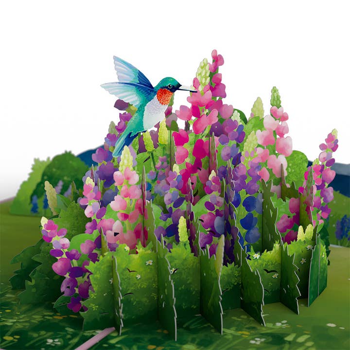 Lovepop Cards - Wholesale Everyday Greeting Card - Lupine Hummingbird 5''x7'' Card, Pop-Up Cards