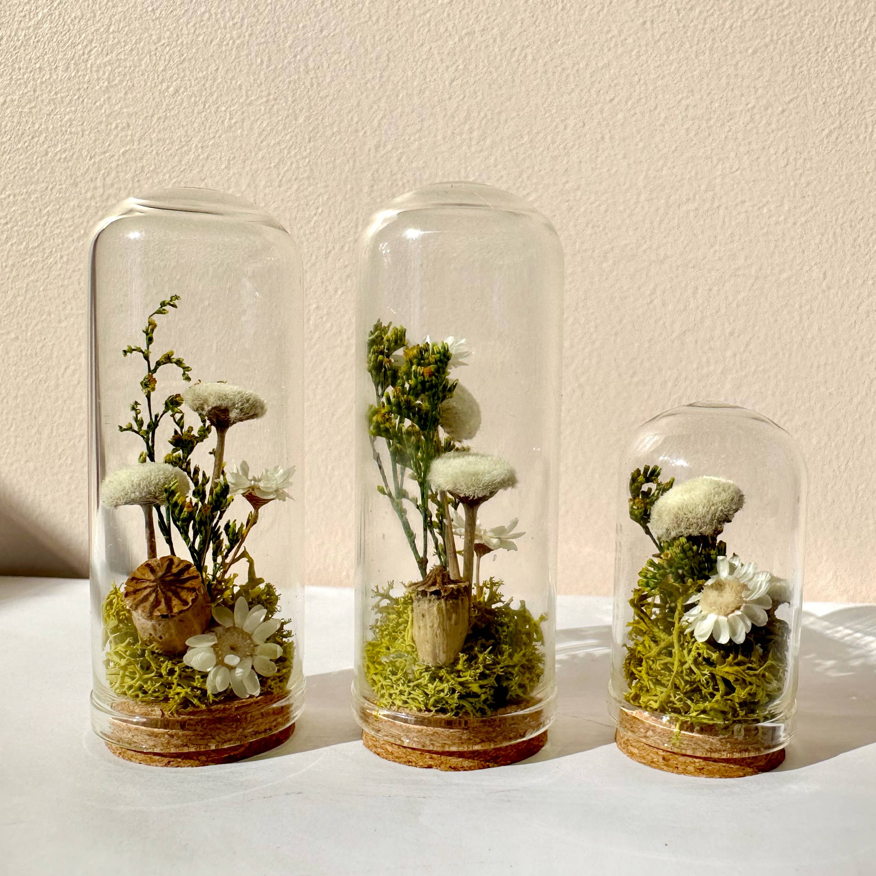 CA Studios - Wholesale Terrarium - Flower Forest Mini Glass Cloche Terrarium w. Dried Florals3