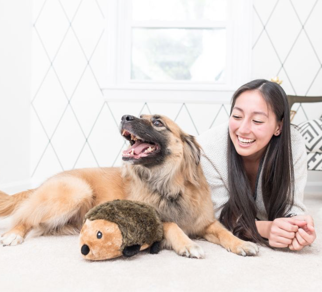 ZippyPaws - Wholesale Pet Plush Toy - Dog - Hedgehog - Large - Dog Toy4