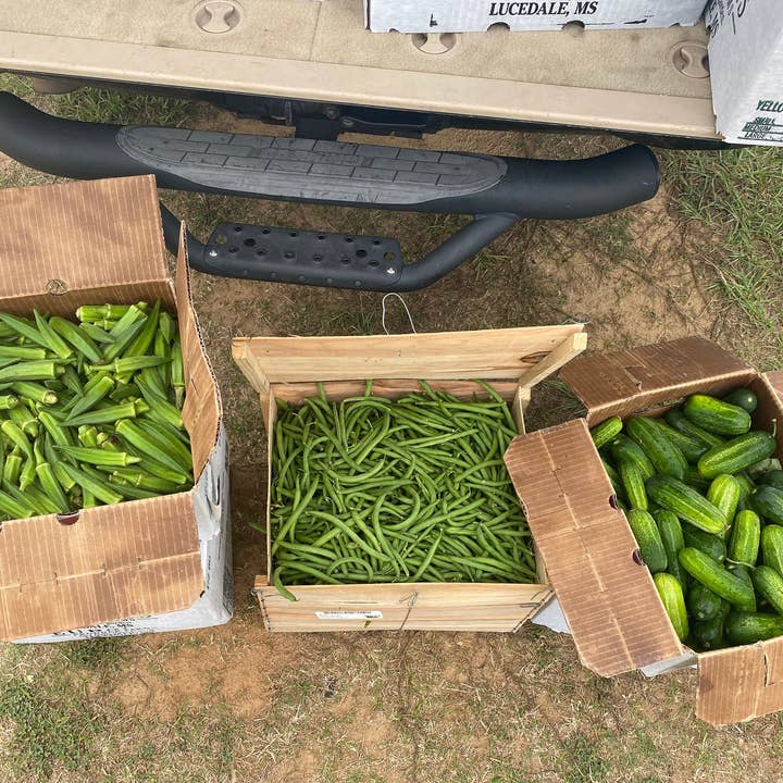 May's Market @ TLM - Venta al por mayor Verduras encurtidas - Patatas Fritas de Pepinillo Eneldo Crinkle, 24oz de The Lady May