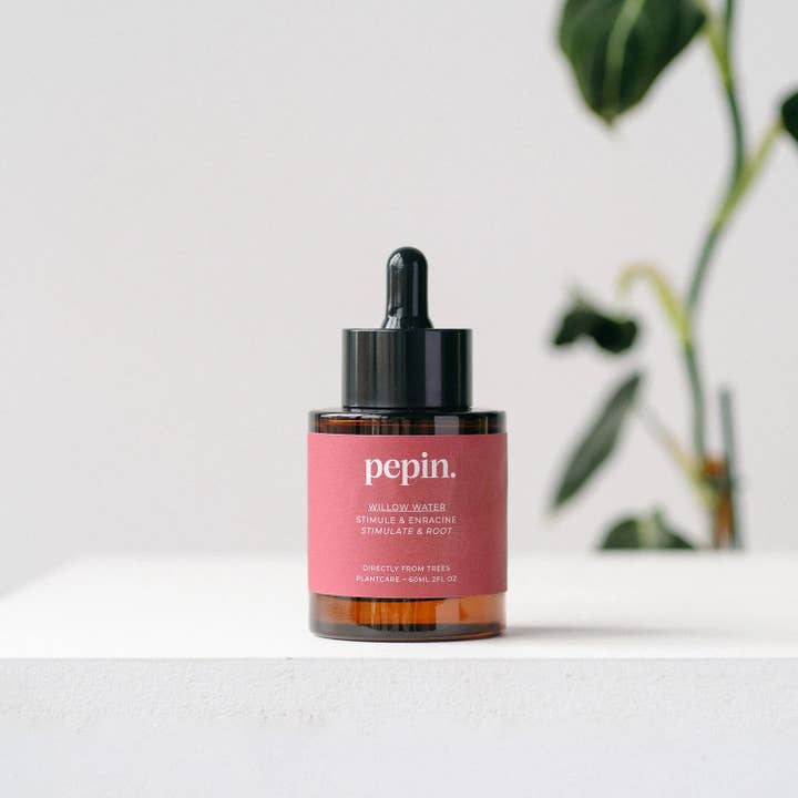 Eau de saule (développement des racines) pour la vente par Pepin