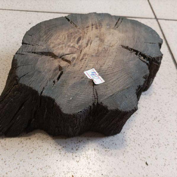 Bog Oak Wood Slices, Morta Wood Blank 1000-6000 Years #2 for wholesale by Prut63683
