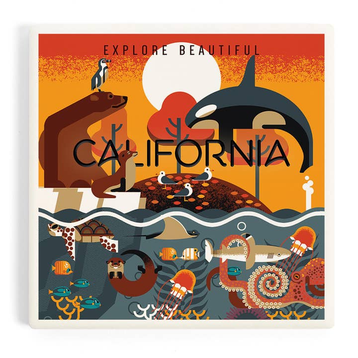 CERAMIC COASTER California, Marine Animals, Geometric 1 for wholesale by Lantern Press