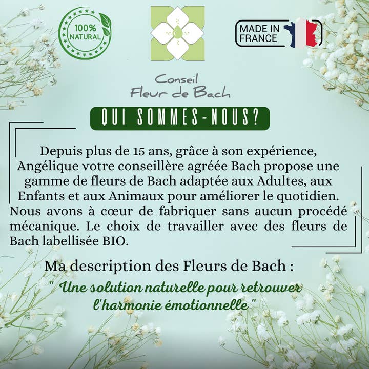 Conseil fleur de Bach – wholesale Oralt tillskott/Vitamin – Bachblommor Examen