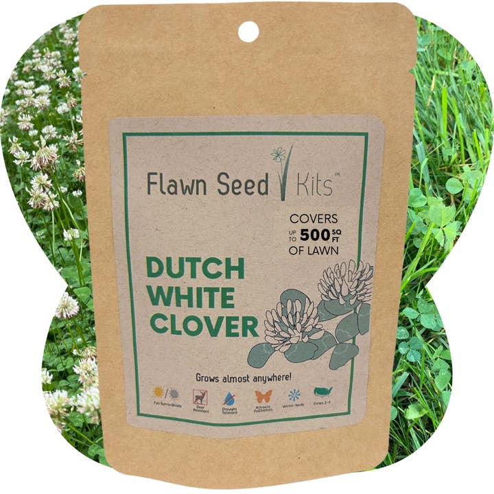 Flawn Seed Kits - Wholesale Plant Seeds - Dutch White Clover Seed1