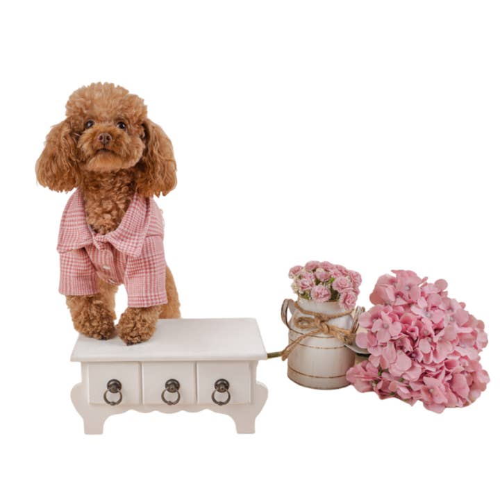 Pink Gales Coat for wholesale by Wiwis