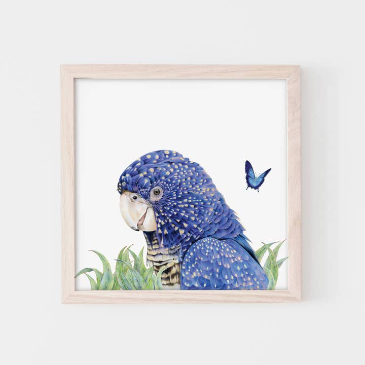 Fine Art Print: Jedda The Black Cockatoo for wholesale by Popcorn Blue