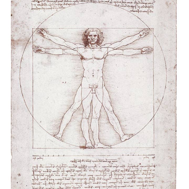 Estudio de las proporciones del cuerpo humano para venta al por mayor de The Retrospect Group Collection