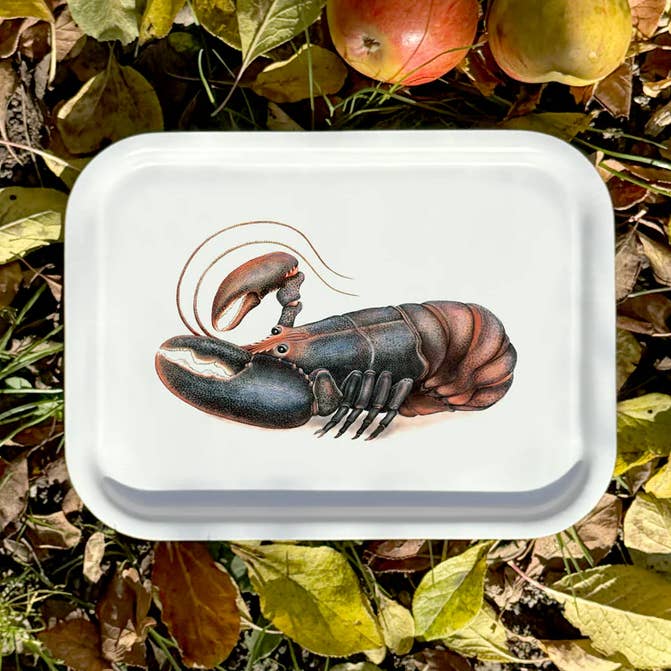 Larry - Bakke lille for engroshandel hos Charlotte Nicolin