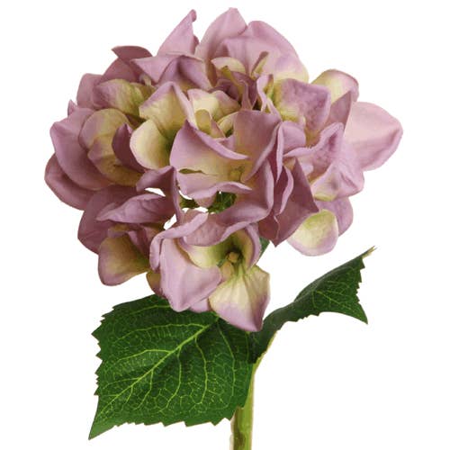 hydrangea 33 cm purple for wholesale by Floratexx