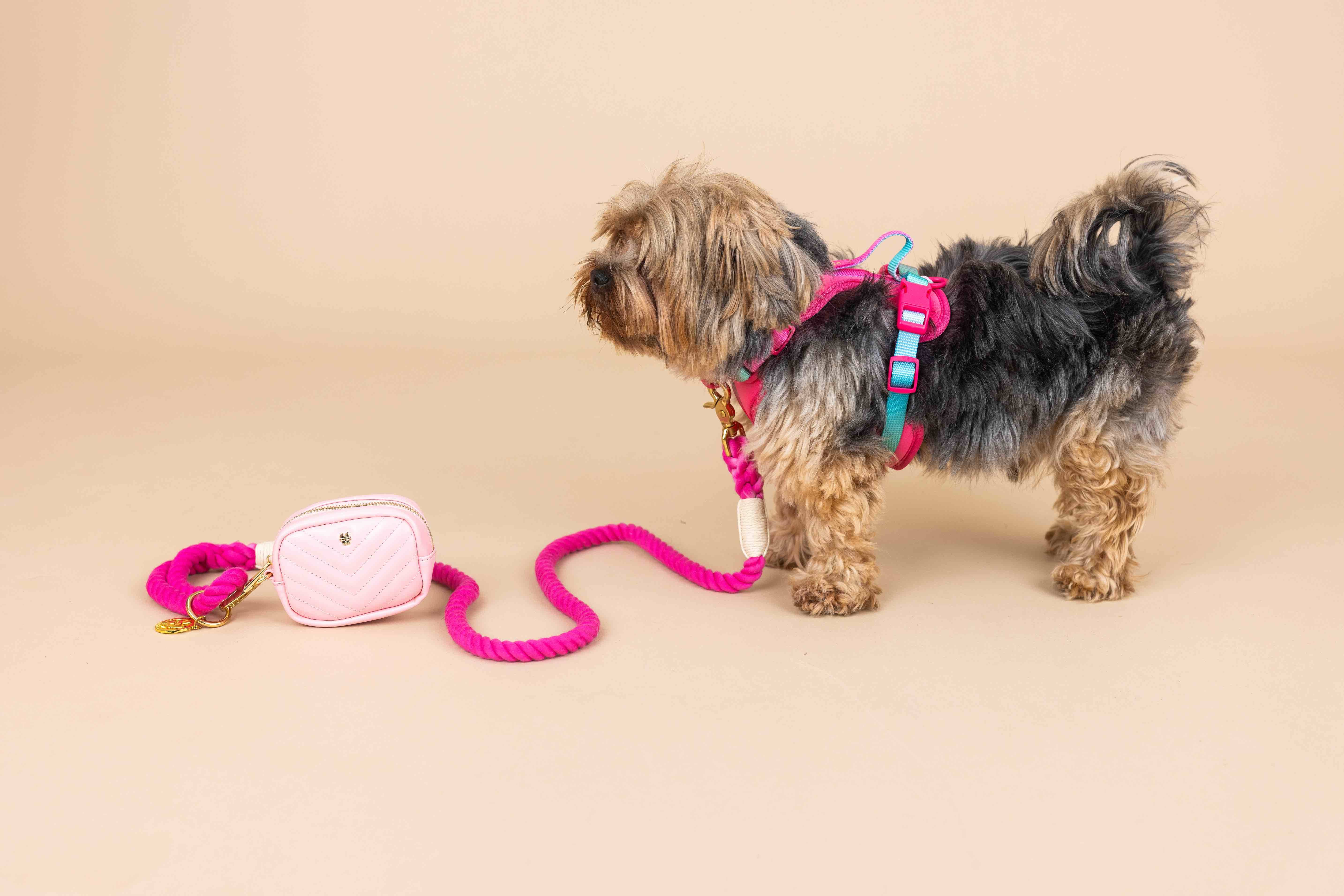 Pink Papyrus | Premium, Durable, & Stylish Dog Products - Wholesale Tuig voor huisdieren - Hond - Stasia hondenharnas | No pull hondenharnas in roze9