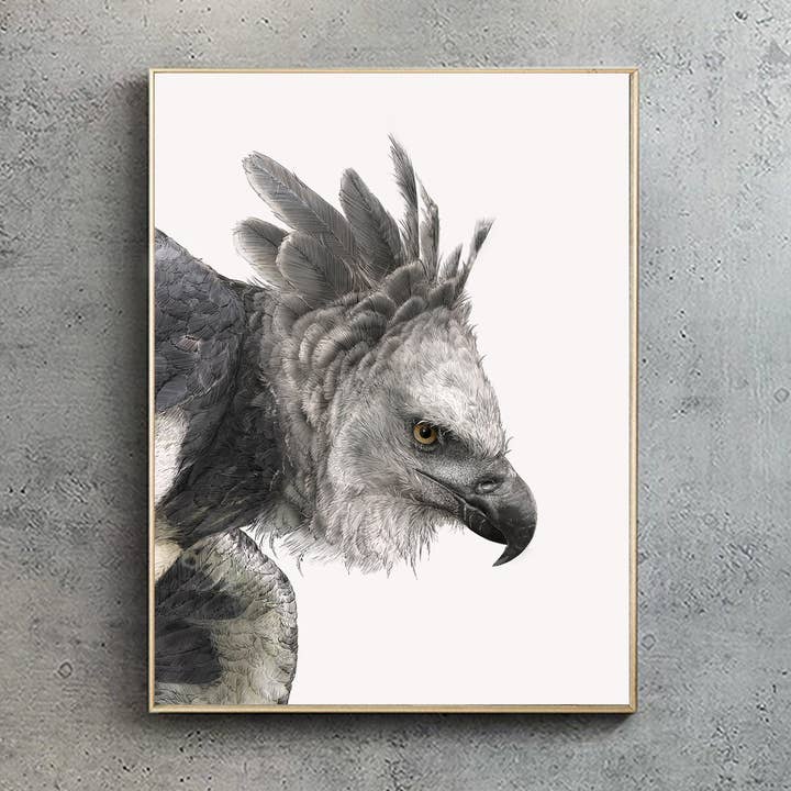 Harpy Eagle - Impression A2/A1 (paysage) pour la vente par Hidden Planet