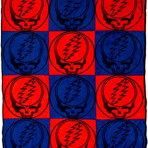 Gypsy Rose - Wholesale Throw Blanket - Grateful Dead SYF Throw0