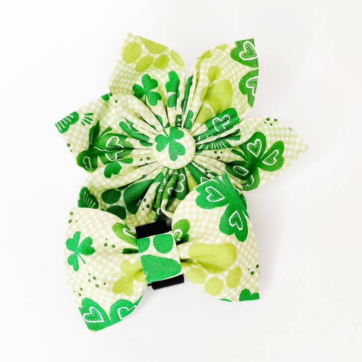 Kruidnagels en Pootafdrukken Hondenstrik en Halsbandbloem voor wholesale door Charlotte's Pet