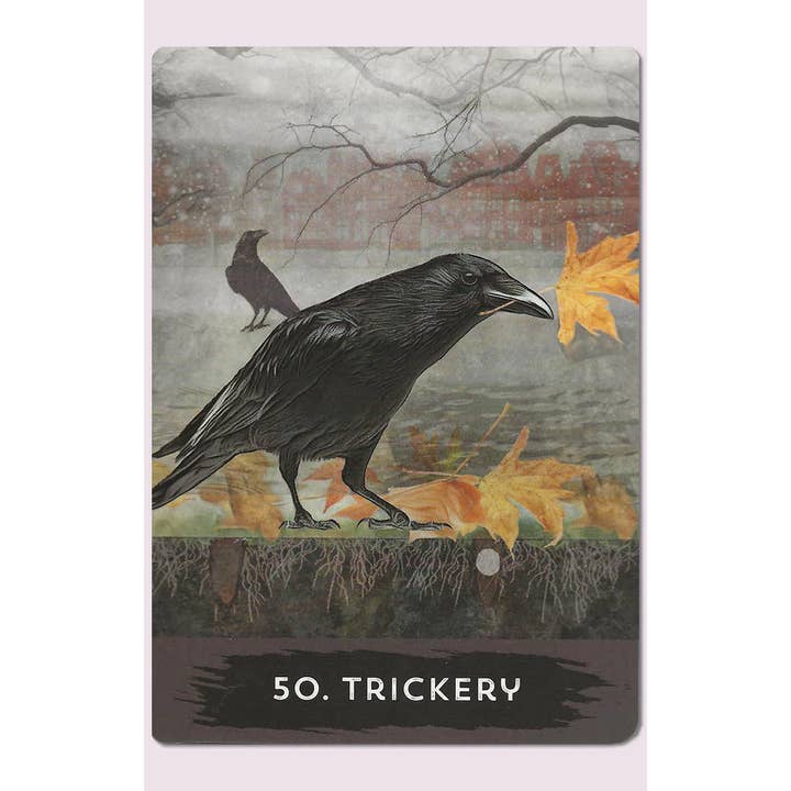 Cardshouse – Engroshandel Tarotkort – Urban Crow Oracle-kort Hay House2