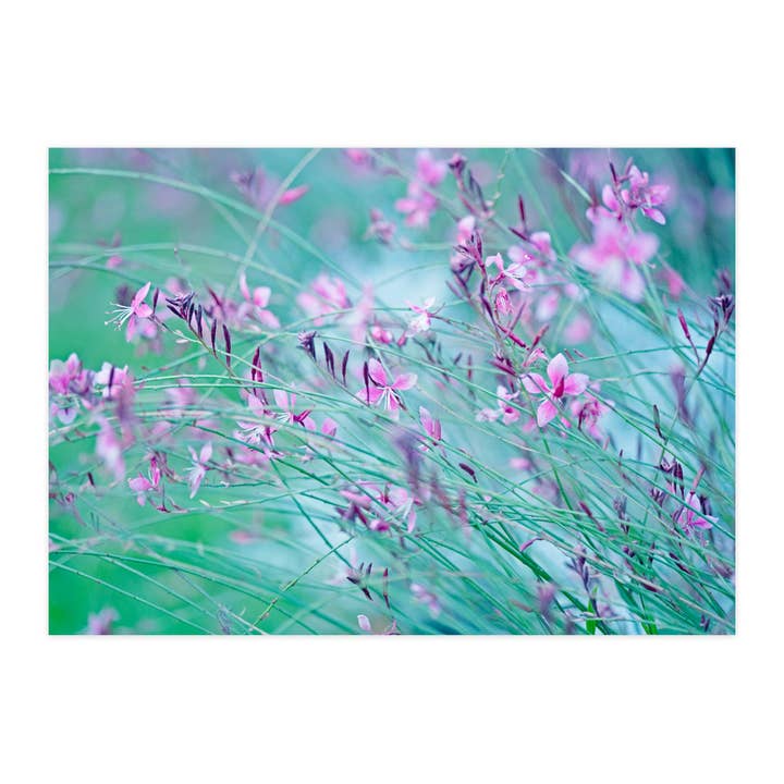 Cartolina "Candela Splendida" per la vendita all'ingrosso da parte di paruspaper. nutzfeine papeterie