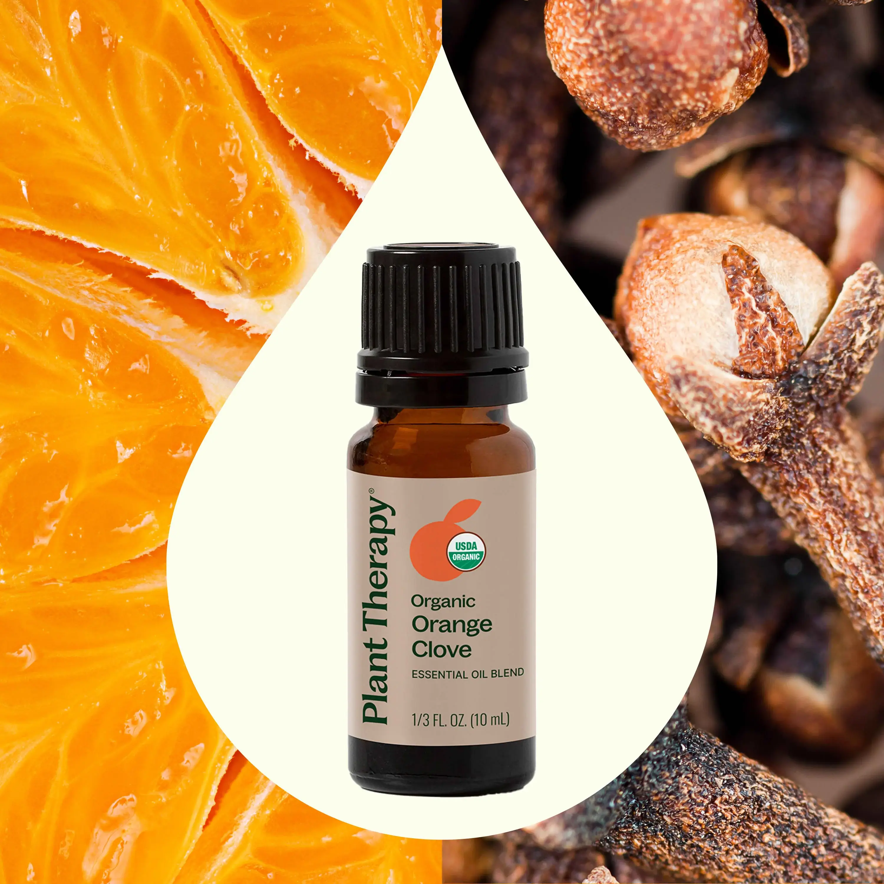 Plant Therapy - Wholesale Essential Oil - Organic Orange Clove Essential Oil Blend 10 ml4