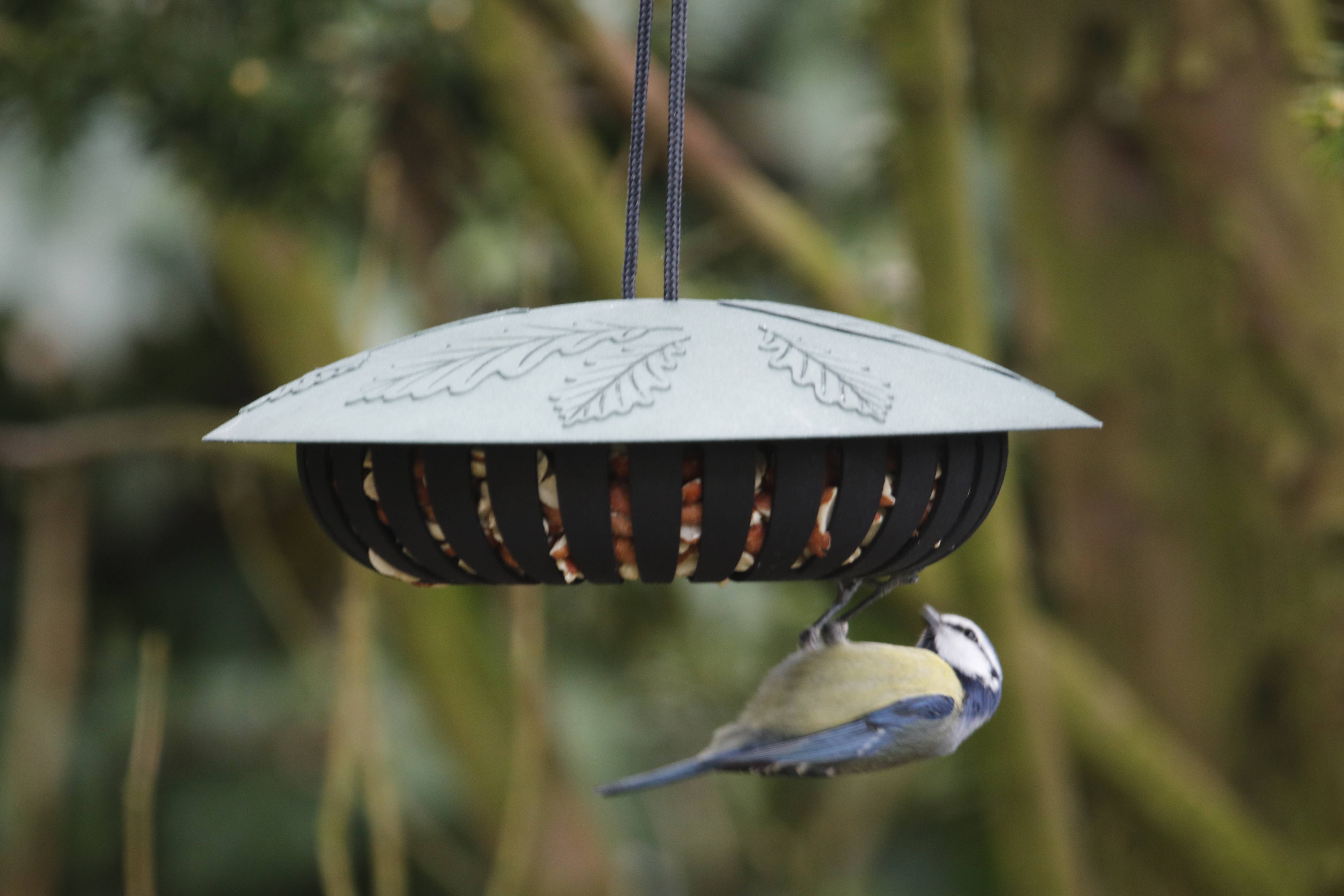 SingingFriend - Wholesale Bird Feeder - Hello Mila1