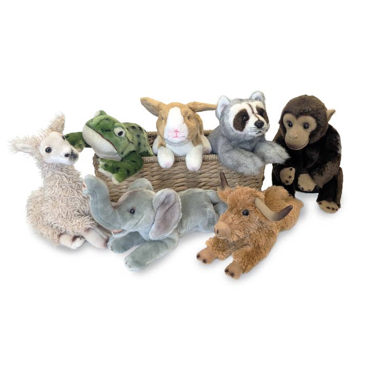 Giffa Gifts - Wholesale Stuffed/Plush Toy - Kids & Baby - Raccoon – Norman 9"2