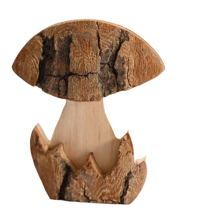 Small Bark Mushroom for wholesale by Talla Imports