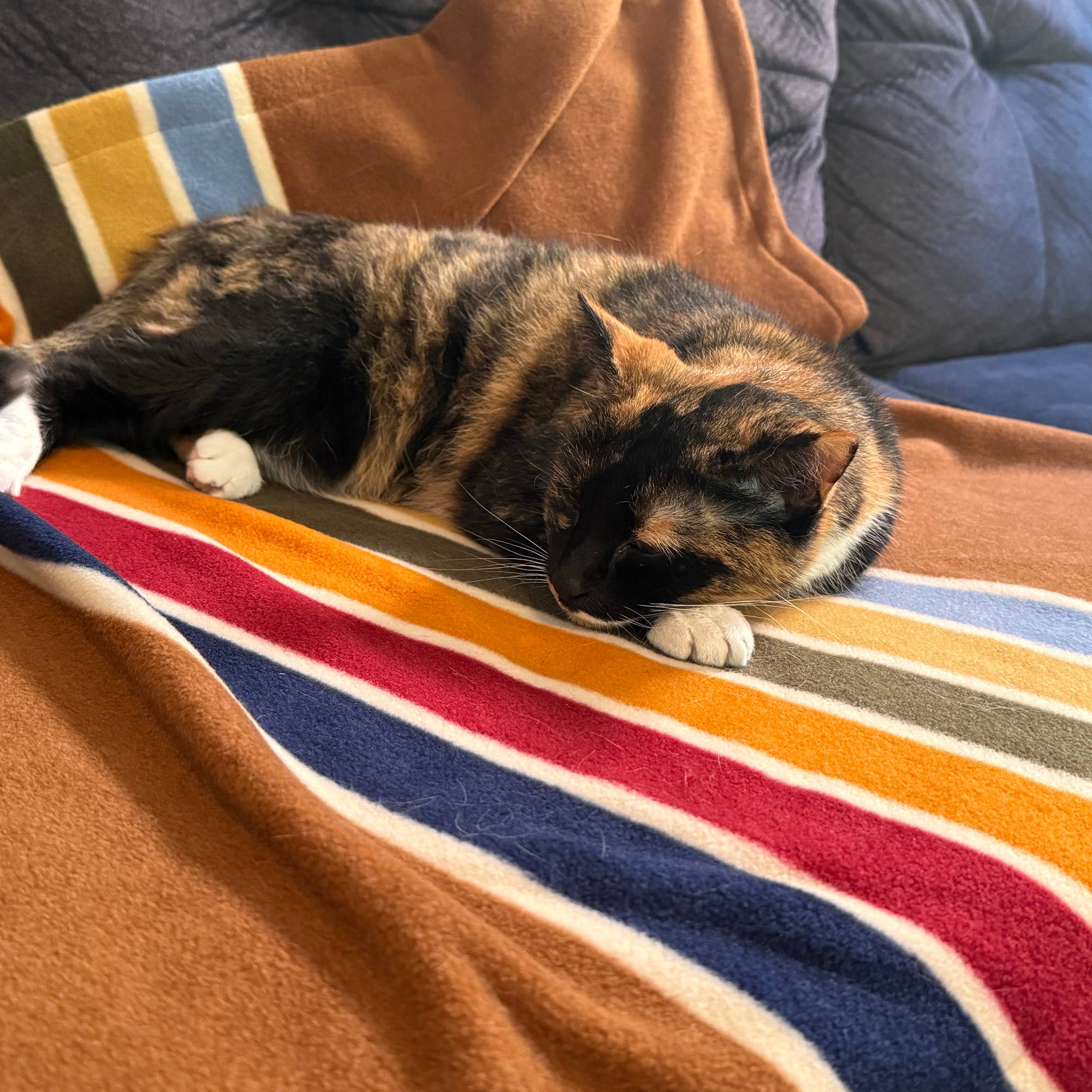 Carolina Pet Company - Wholesale Pet Blanket - Cat/Dog - Pendleton National Park Crate Blanket4