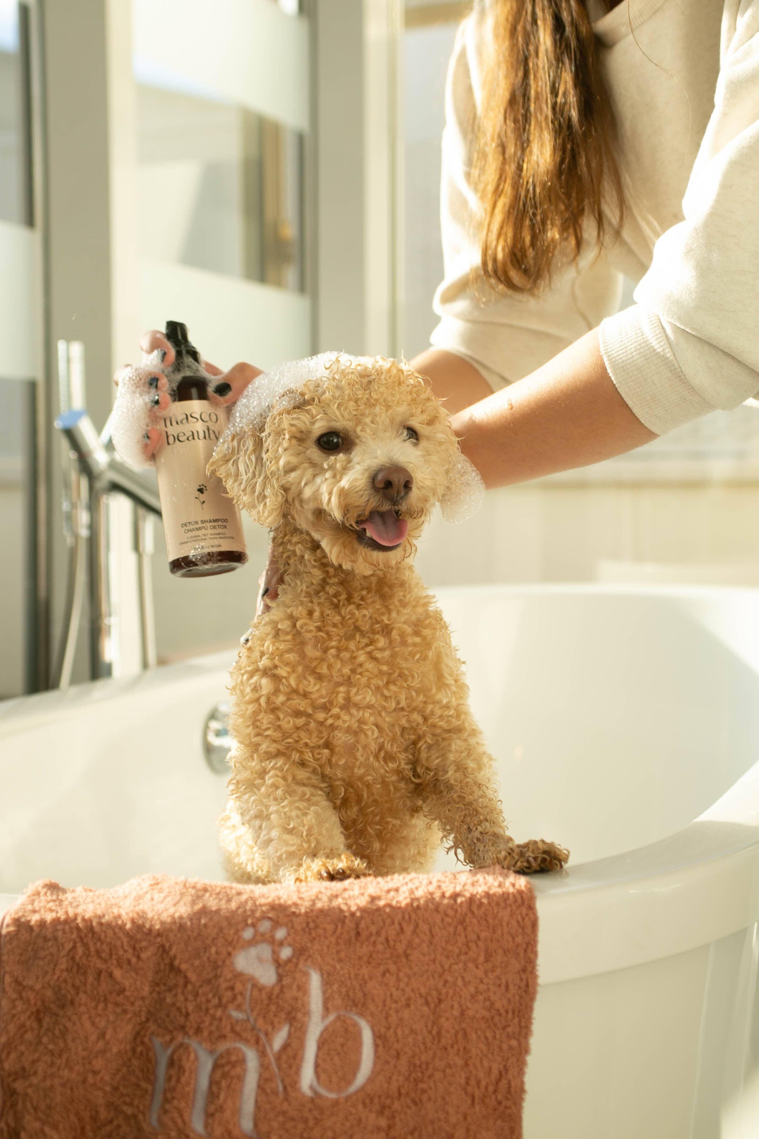 Masco Beauty - Wholesale Pet Soap - Dog - Purifying Dog Shampoo – Natural Skincare for Sensitive Skin2