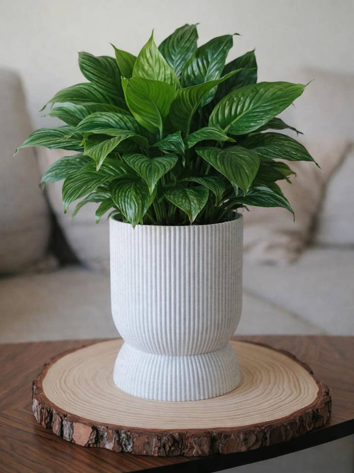 Marmor plantekrukke med dræn - Indendørs plantepotte for engroshandel hos Meora Home