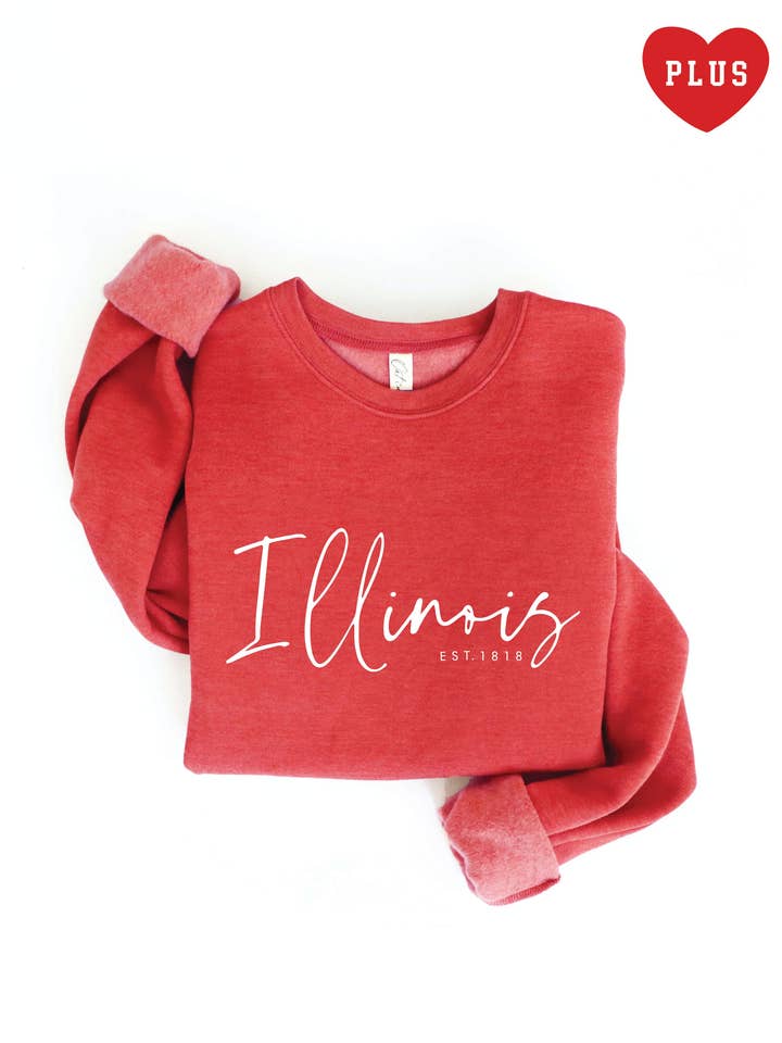 ILLINOIS EST.1818 Plus sweatshirt met grafische print voor wholesale door OAT COLLECTIVE