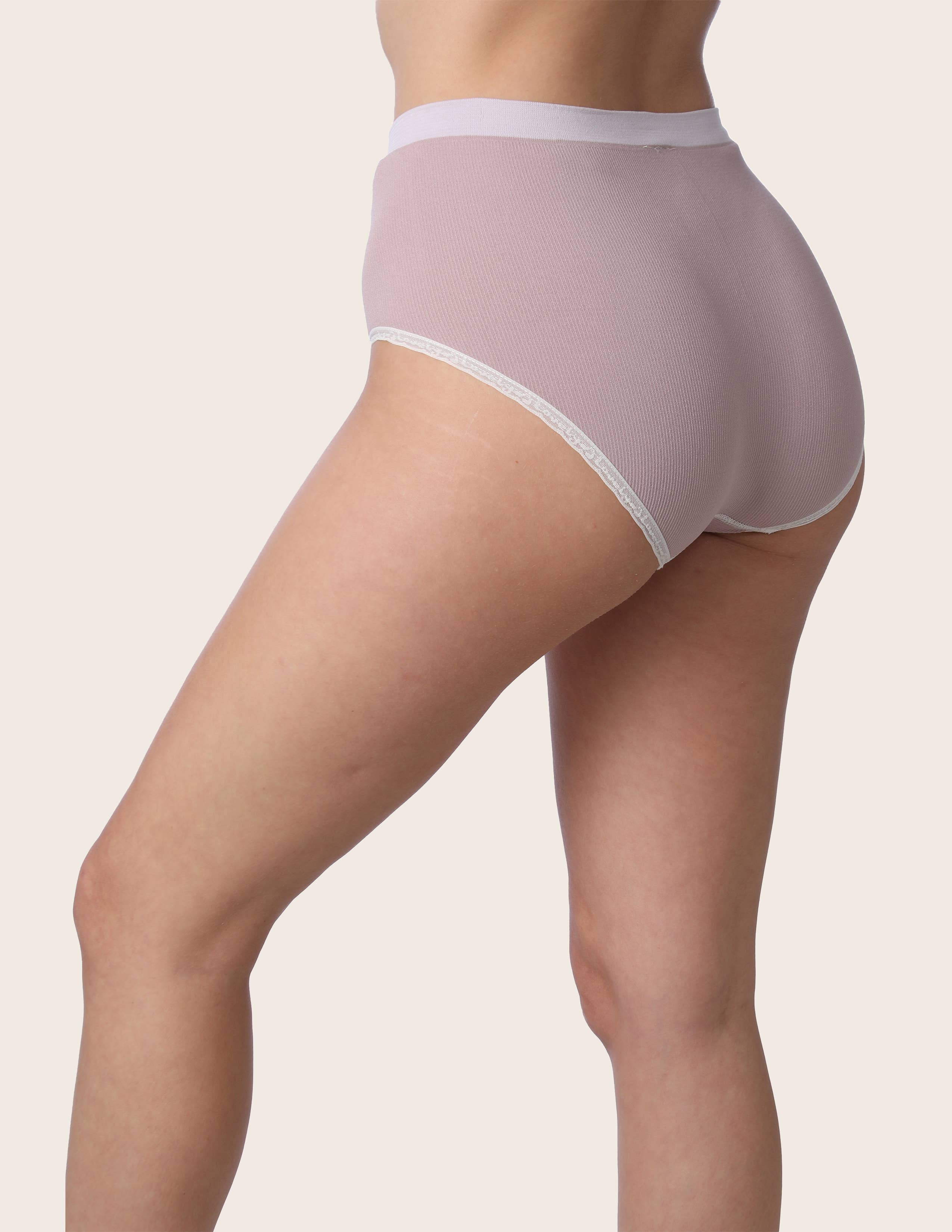 Isadora, Tipi toe, & James Fiallo - Wholesale Underwear - Women's - Women Isadora Low Rise Completely Seamless Brief/Underwear4