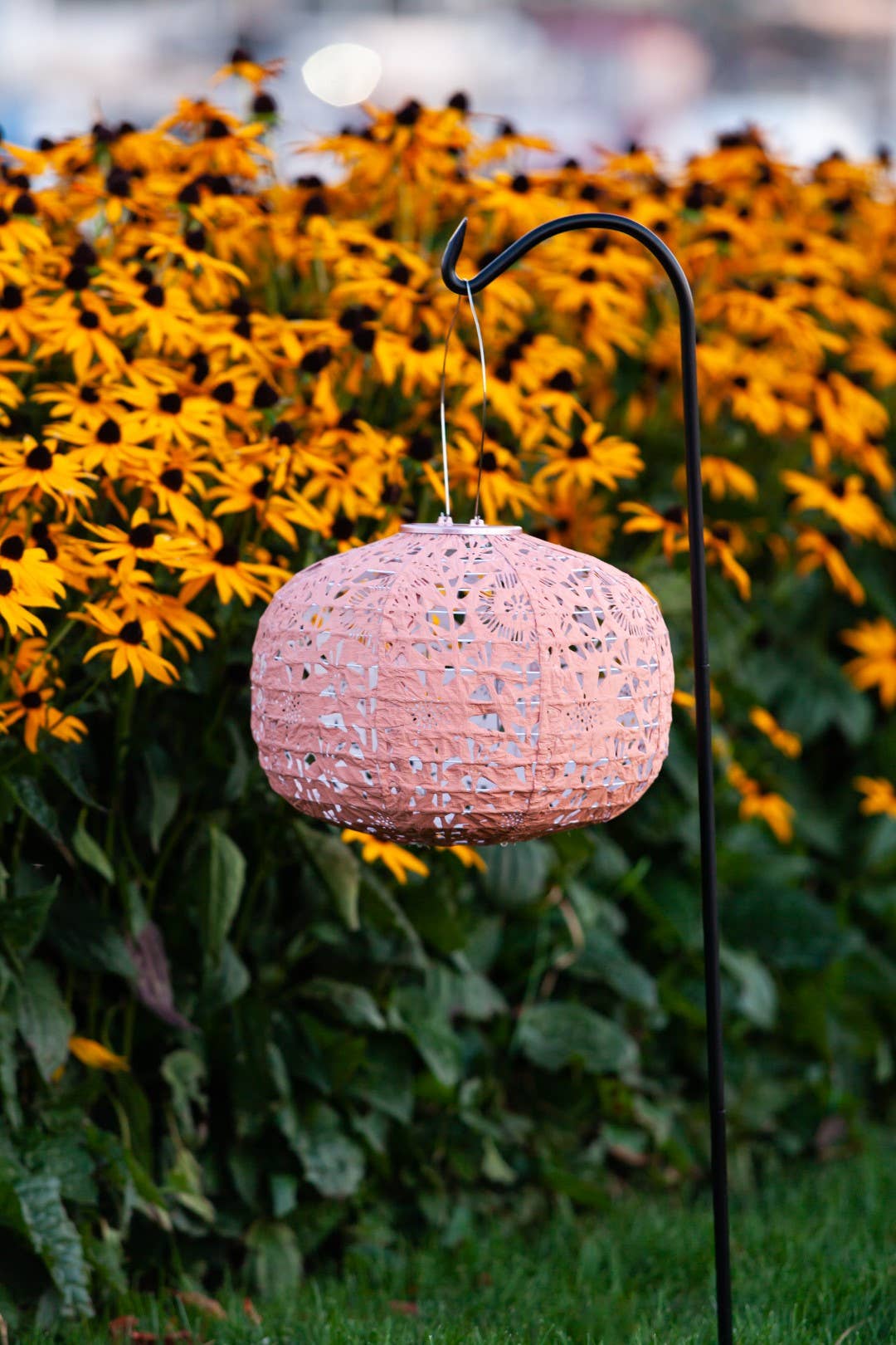 Allsop Home & Garden - Wholesale Outdoor/Lawn Light - Stella Square Sunflower 11" Solar Lantern - Clay2