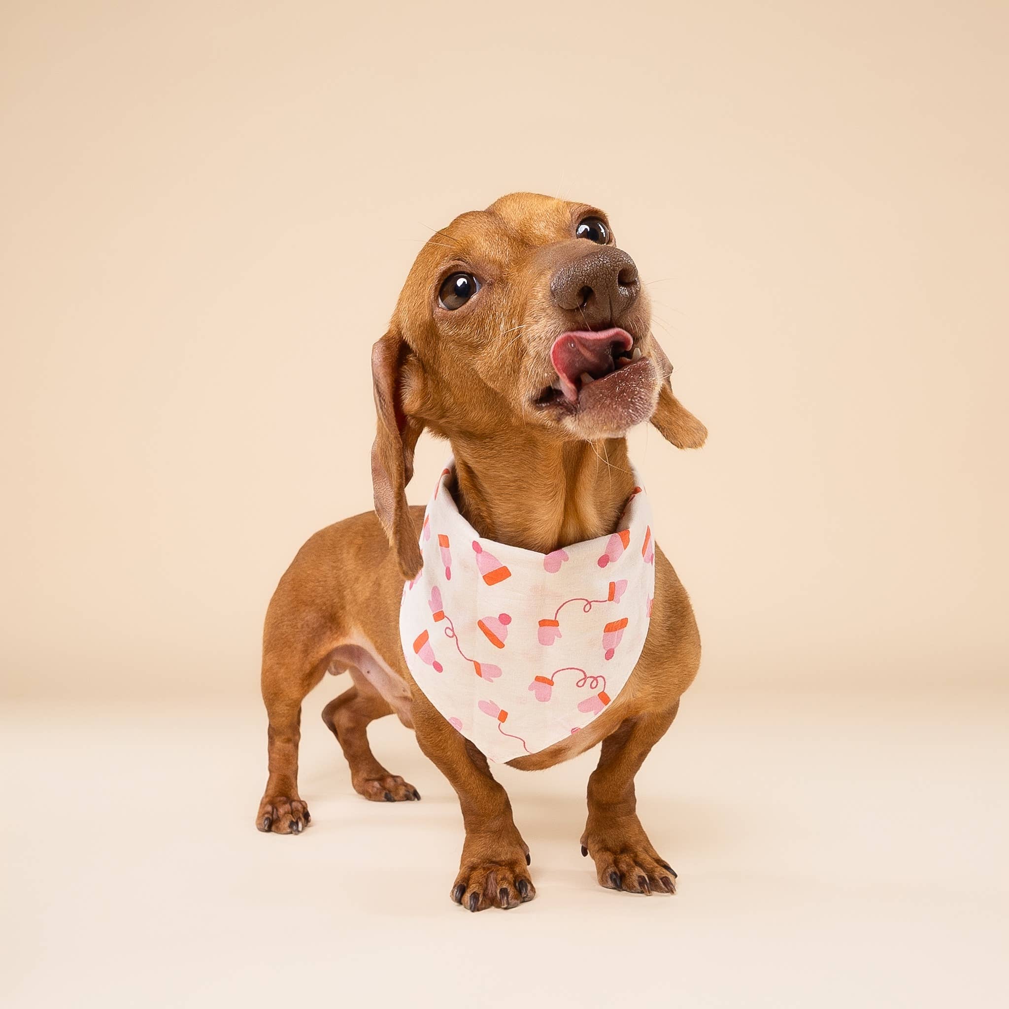 The Paws - Wholesale Pet Bandana - Dog - Mittens Winter Dog Bandana2