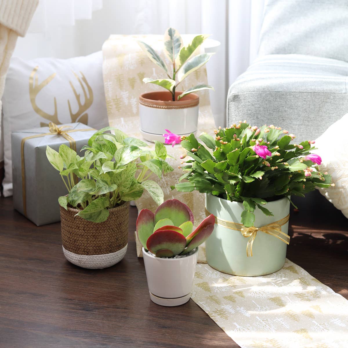 Best Plant Friend - Wholesale Plant Pot - 4 inch White Minimalist Pot with Saucer - Pot for Houseplant5